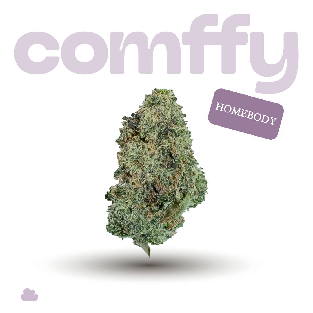 comffy - Homebody (I) Flower C0140000224