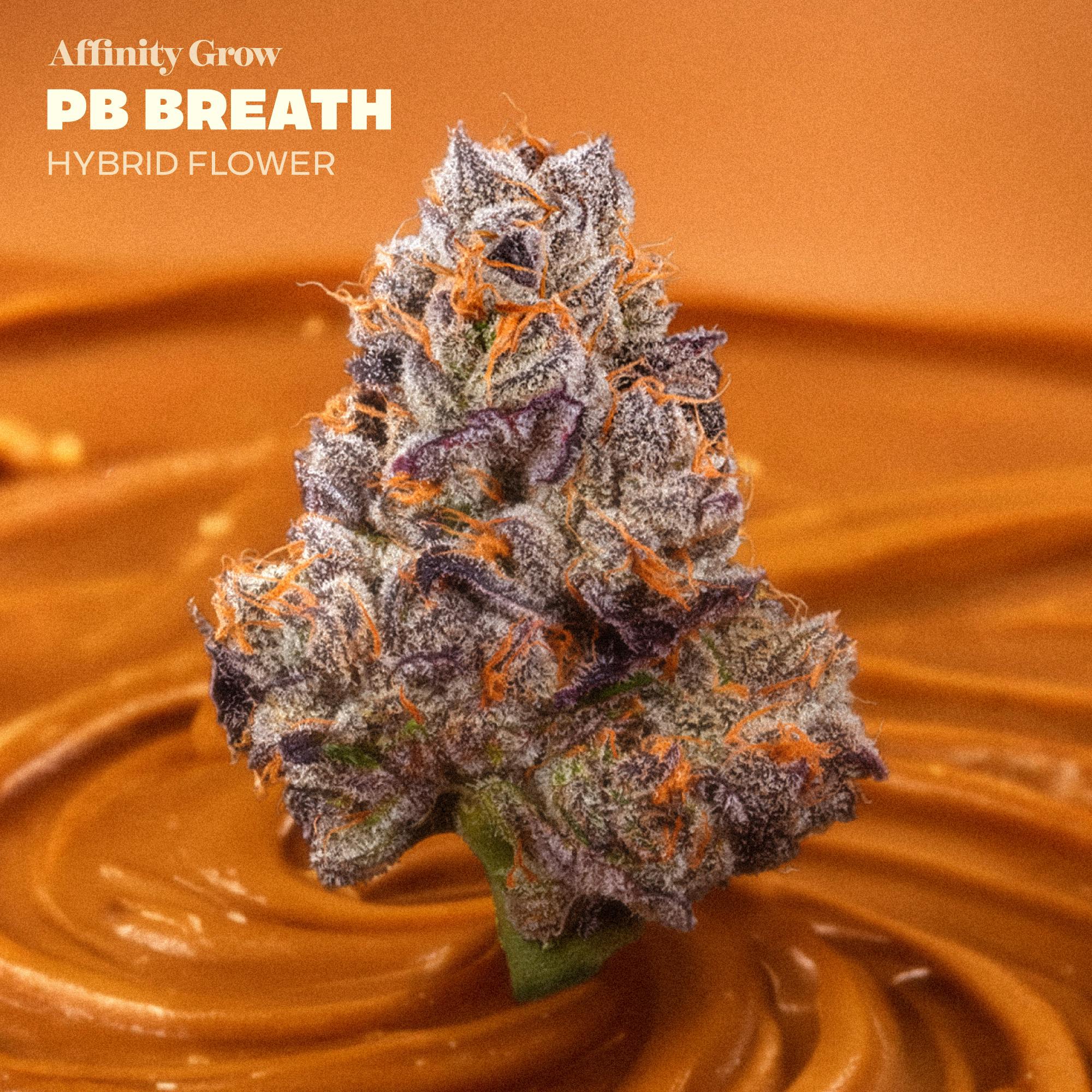 Affinity Grow - PB Breath (H) Flower C0090001029