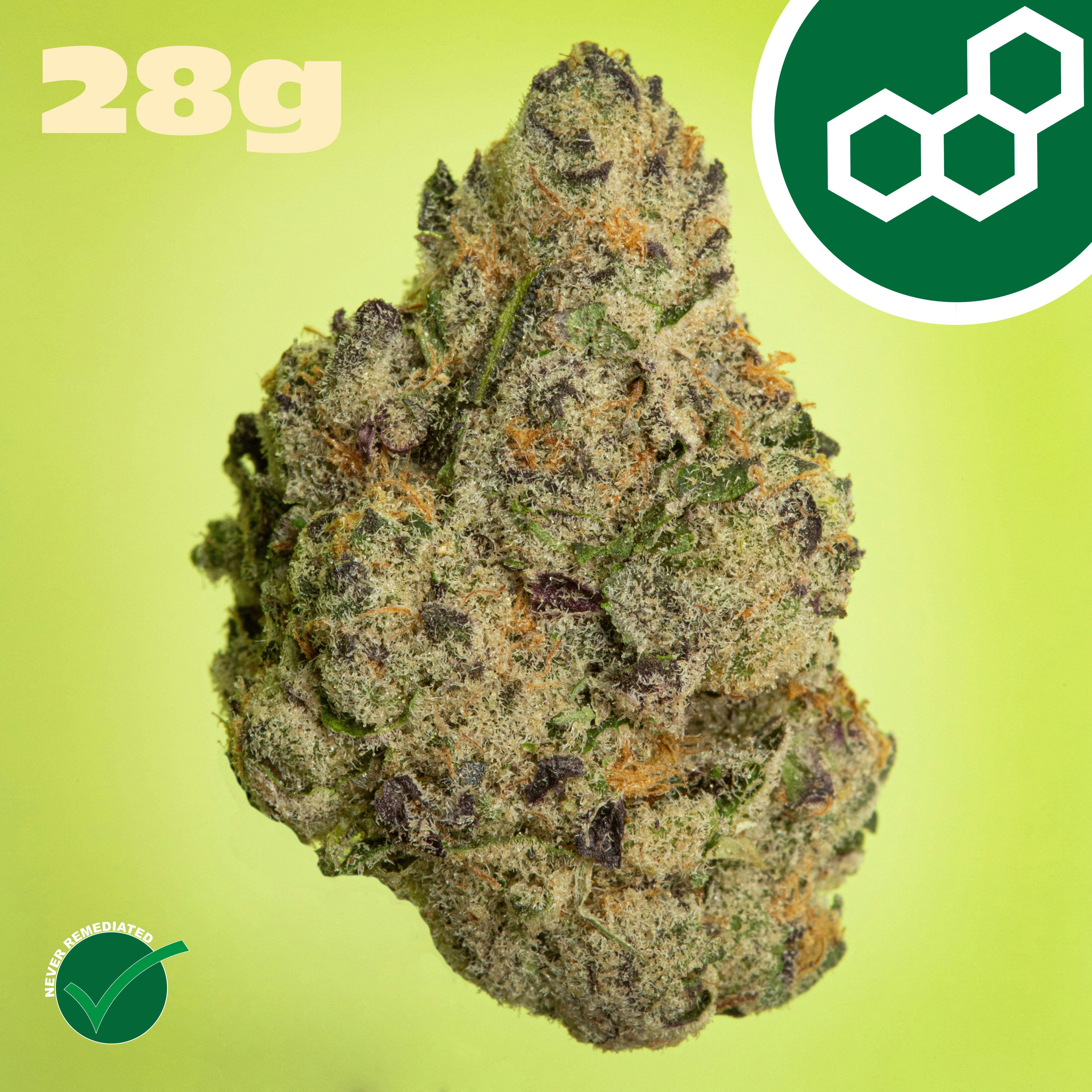 Theraplant - Pink Certz (H) Flower C0040001803