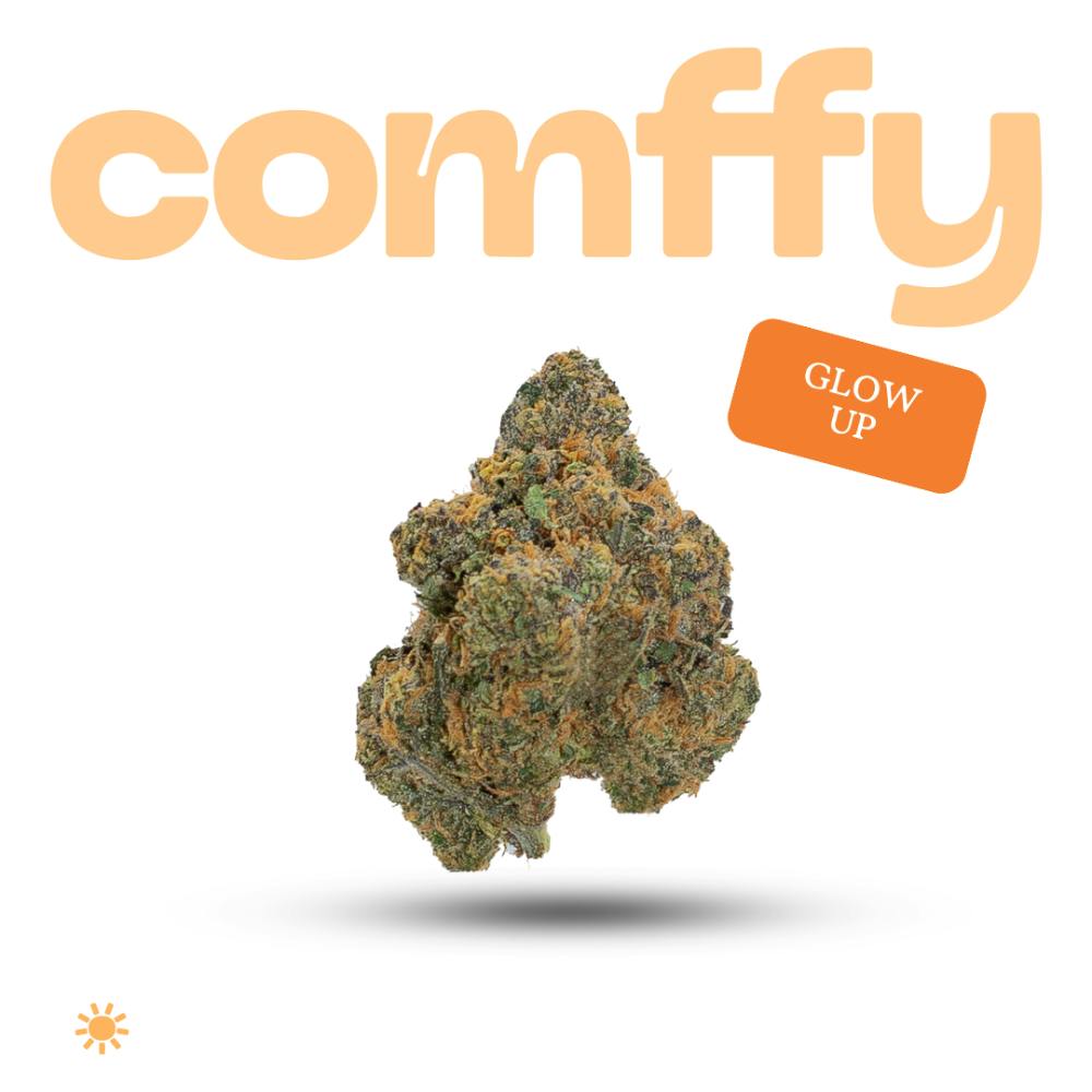 comffy - Glow Up (S) Flower C0140000263