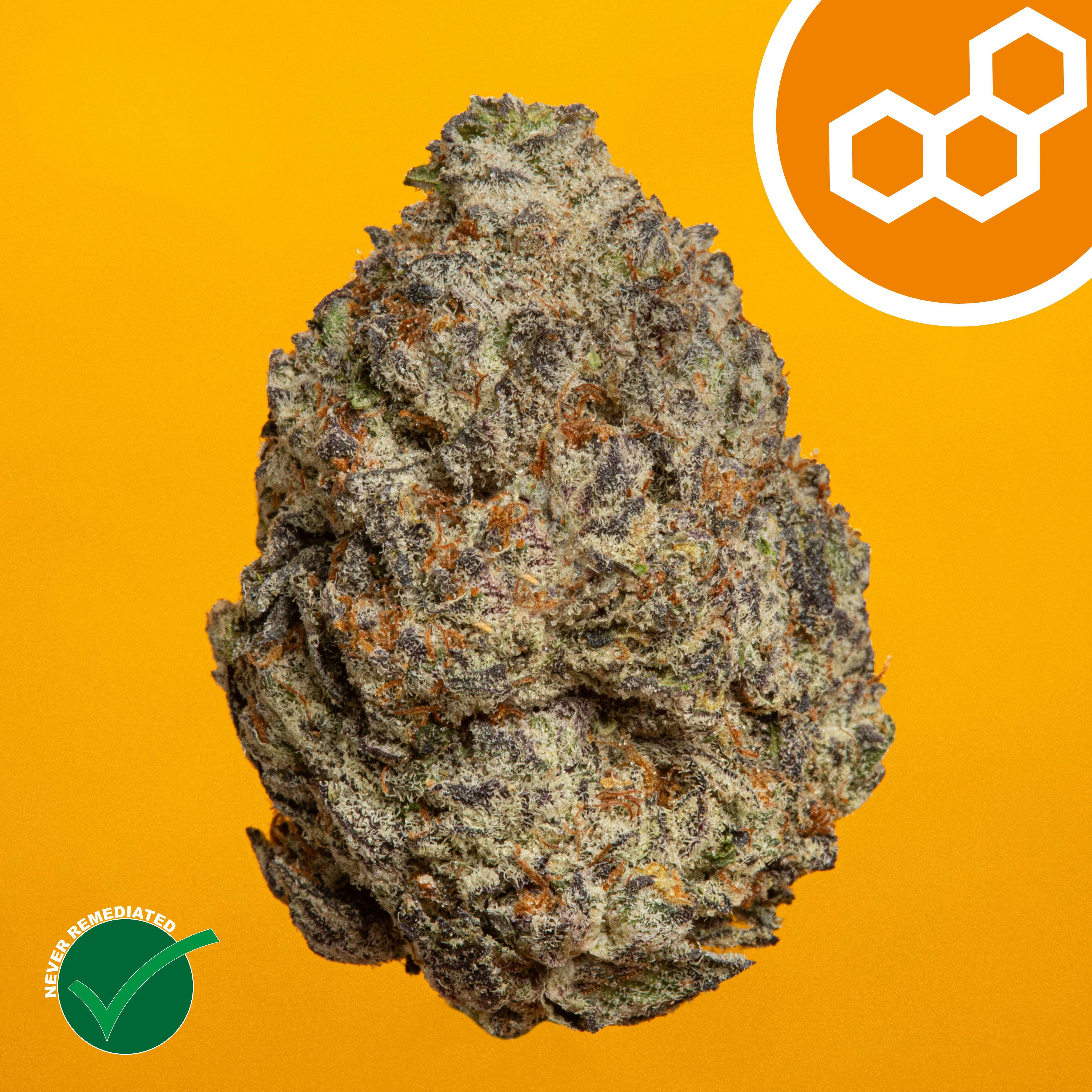Theraplant - Strawberry Cndy (S) Flower C0040001963