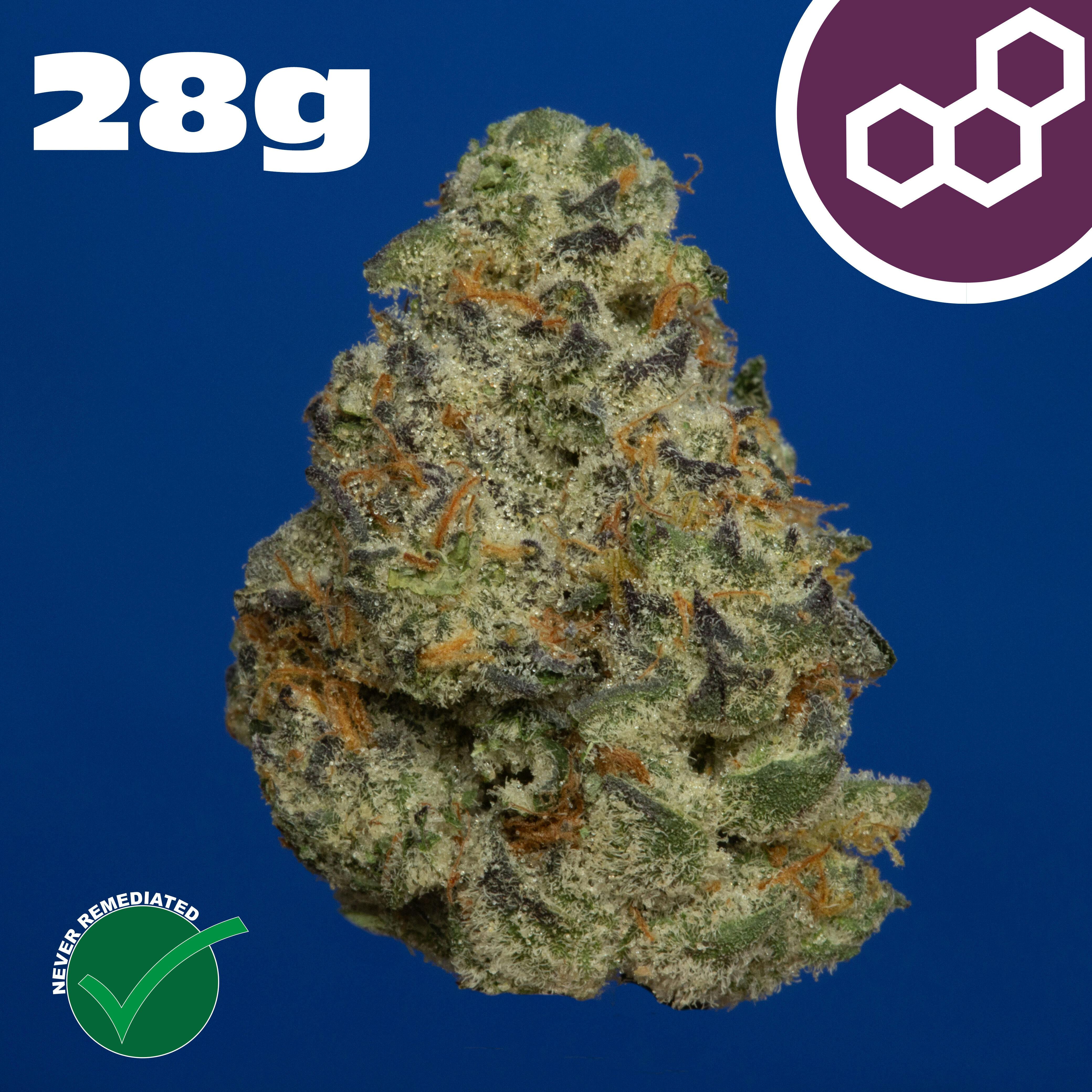 Theraplant - Plasma Gas (I) Flower C0040001808
