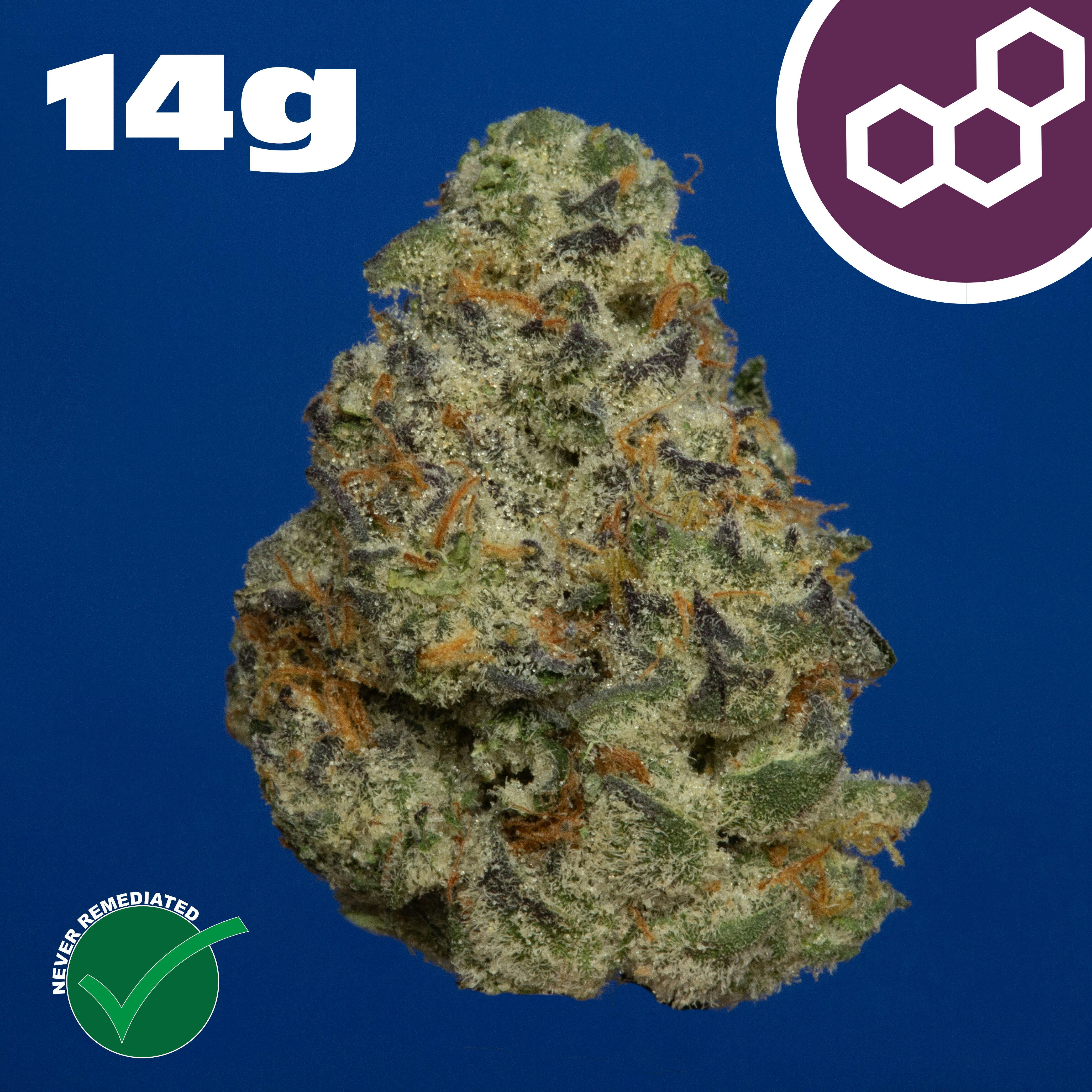 Theraplant - Plasma Gas (I) Flower C0040002054