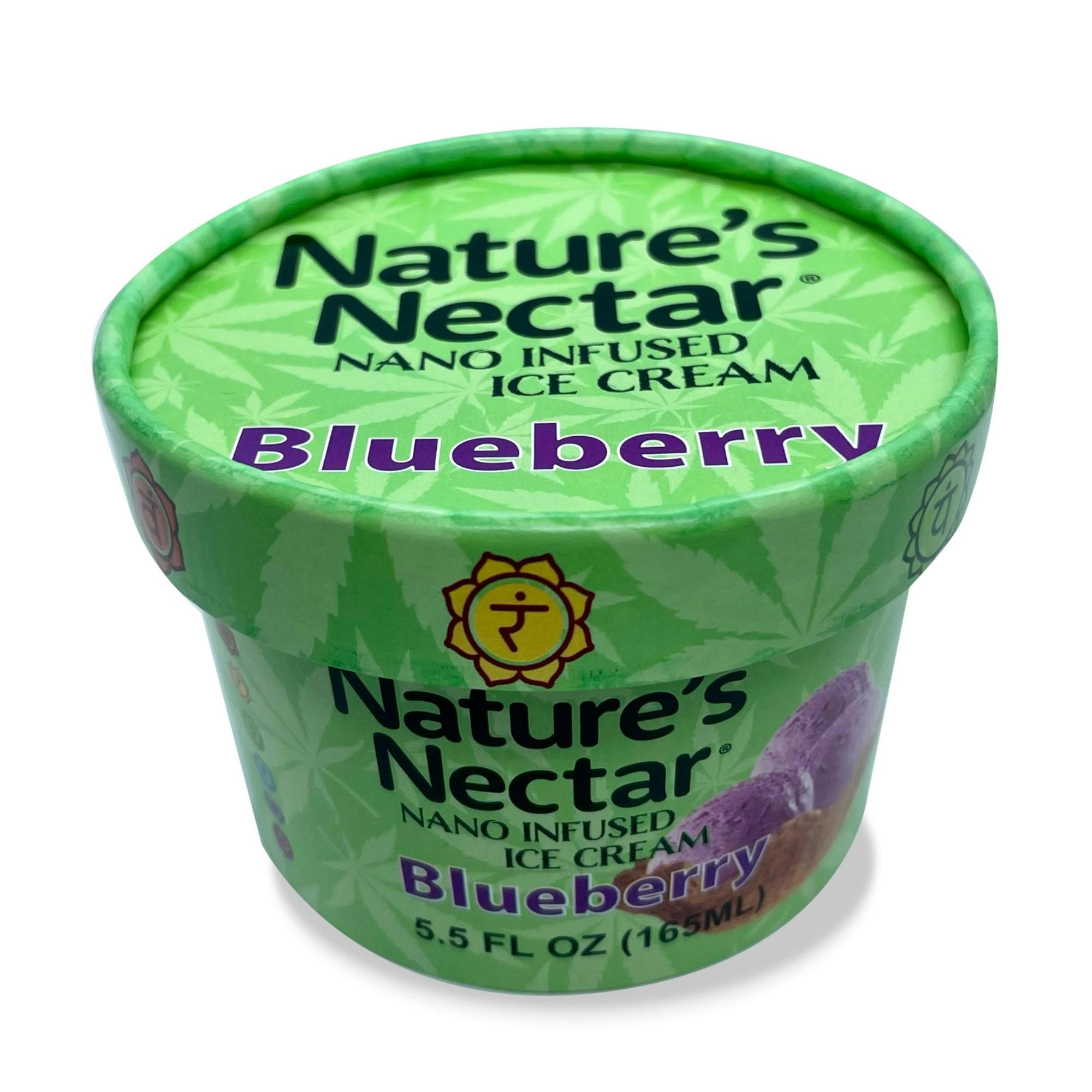 Nano Infused Blueberry Ice Cream - Nature's Nectar