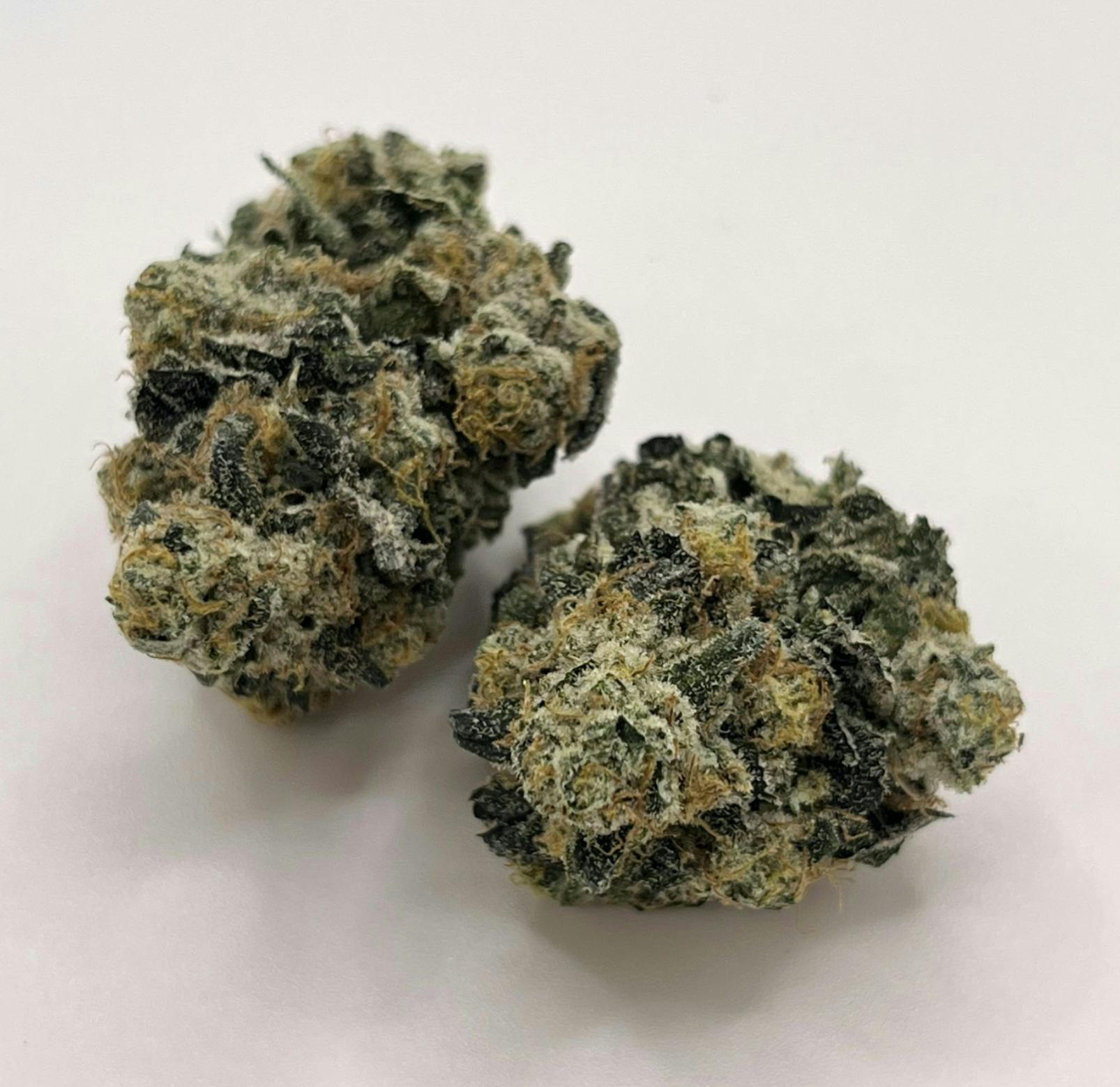 Blueberry Cupcake - Nature's Miracle