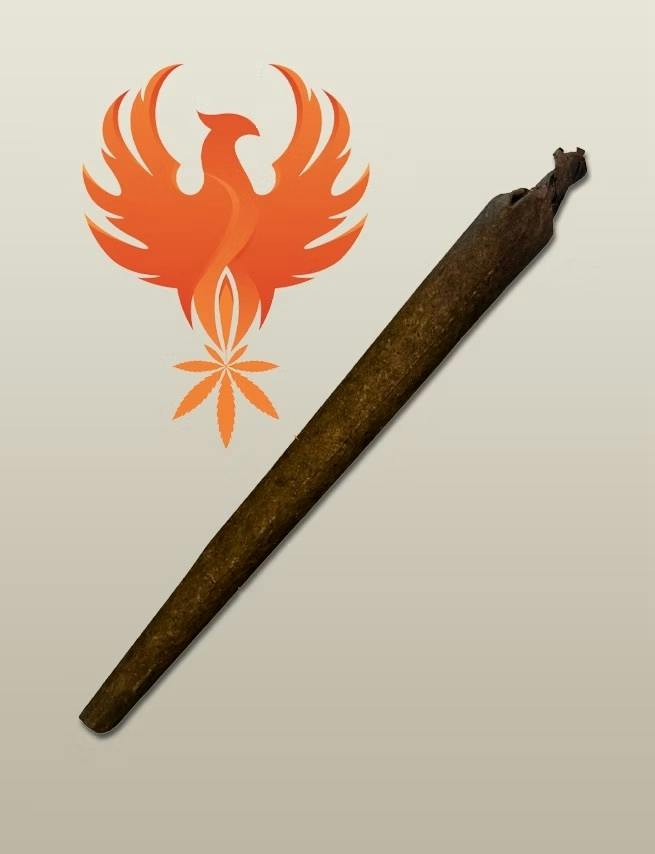 Fuego Farms | 1g Blunt | (S) Whippets
