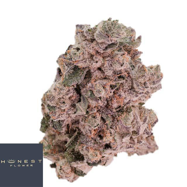 Bubblegum Gelato - 14 g