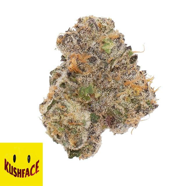 The Tropics - 3.5 g