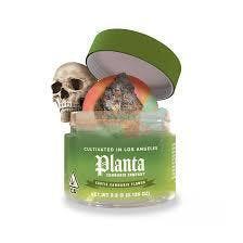 Planta - Flower - C.C. - 3.5g