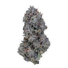 Skunq - Plum Haze 10g smalls