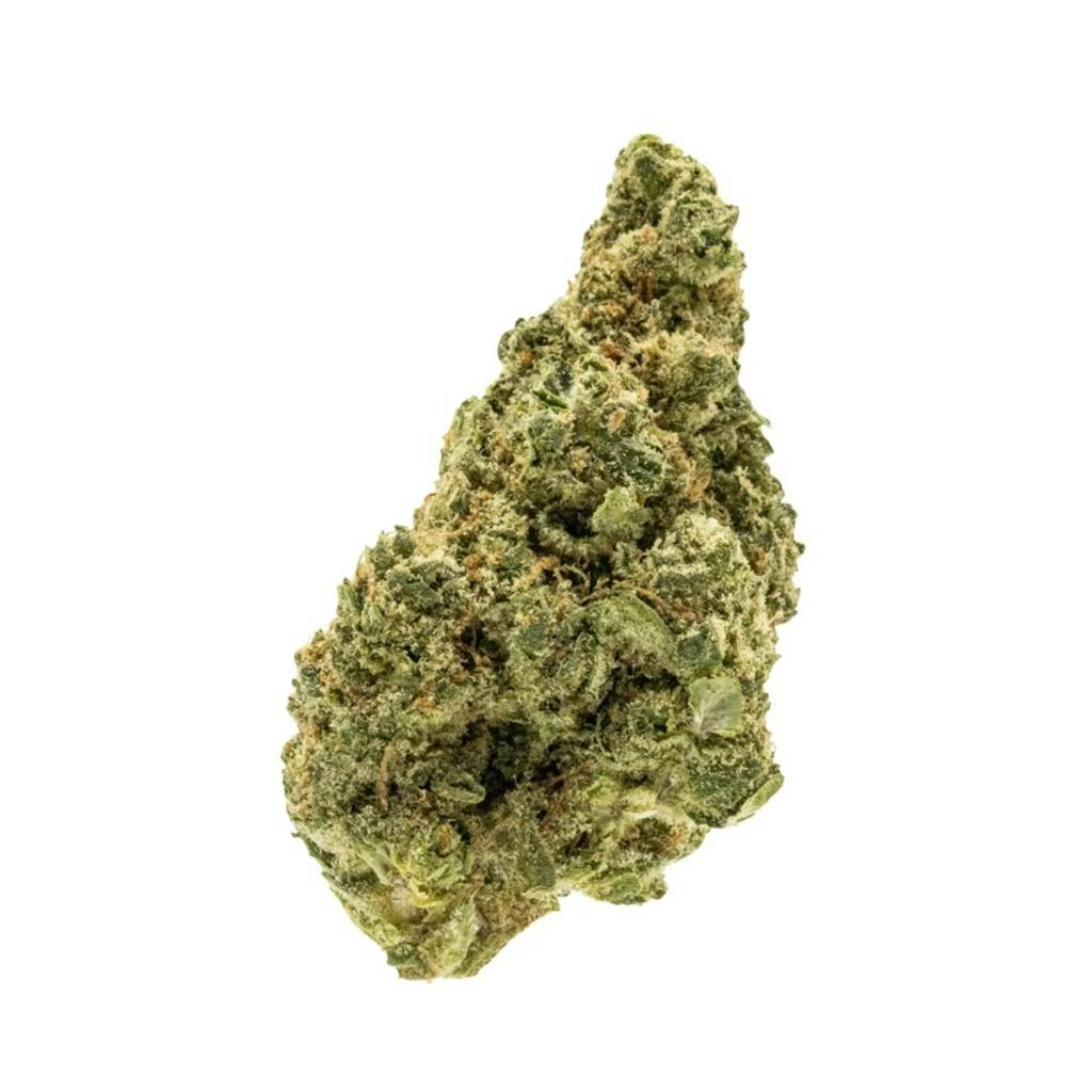 Kingston Royal: Grand National Purp