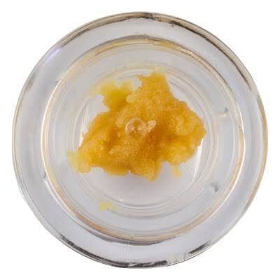 Tribe 710: Terp - Orange Pucker