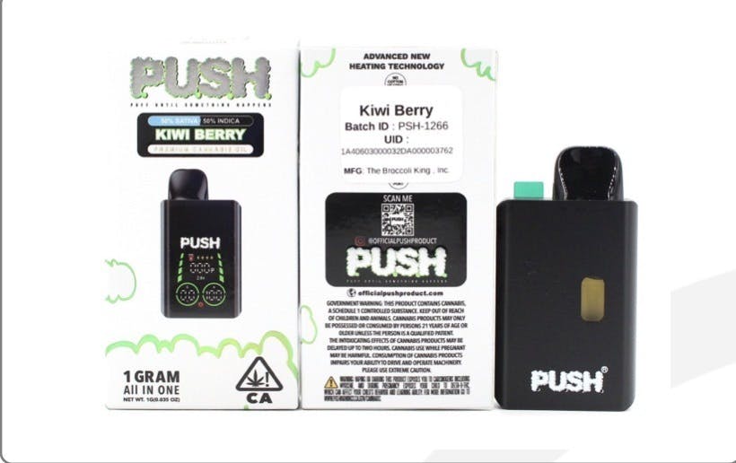 Pushpen -: Kiwi Berry