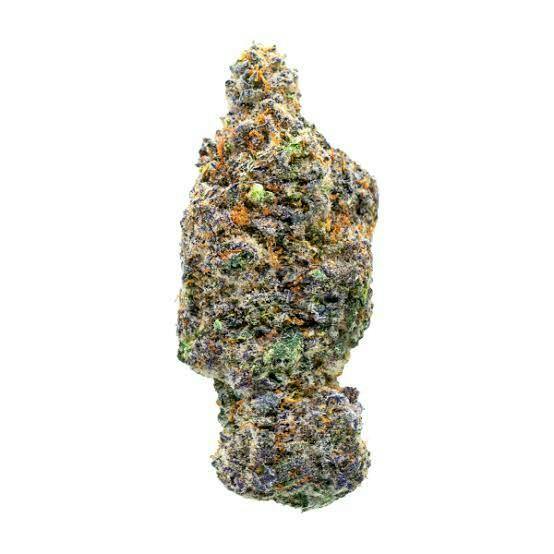 We Grow: Lady Pink