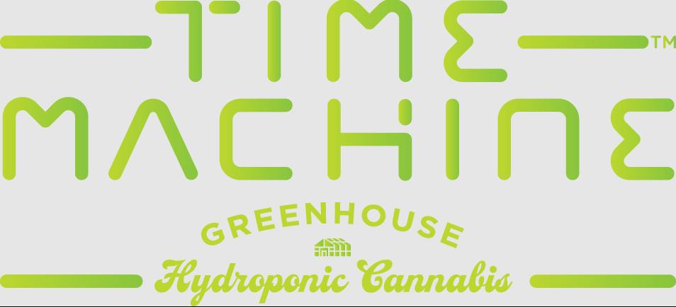 Time Machine Blue Dream