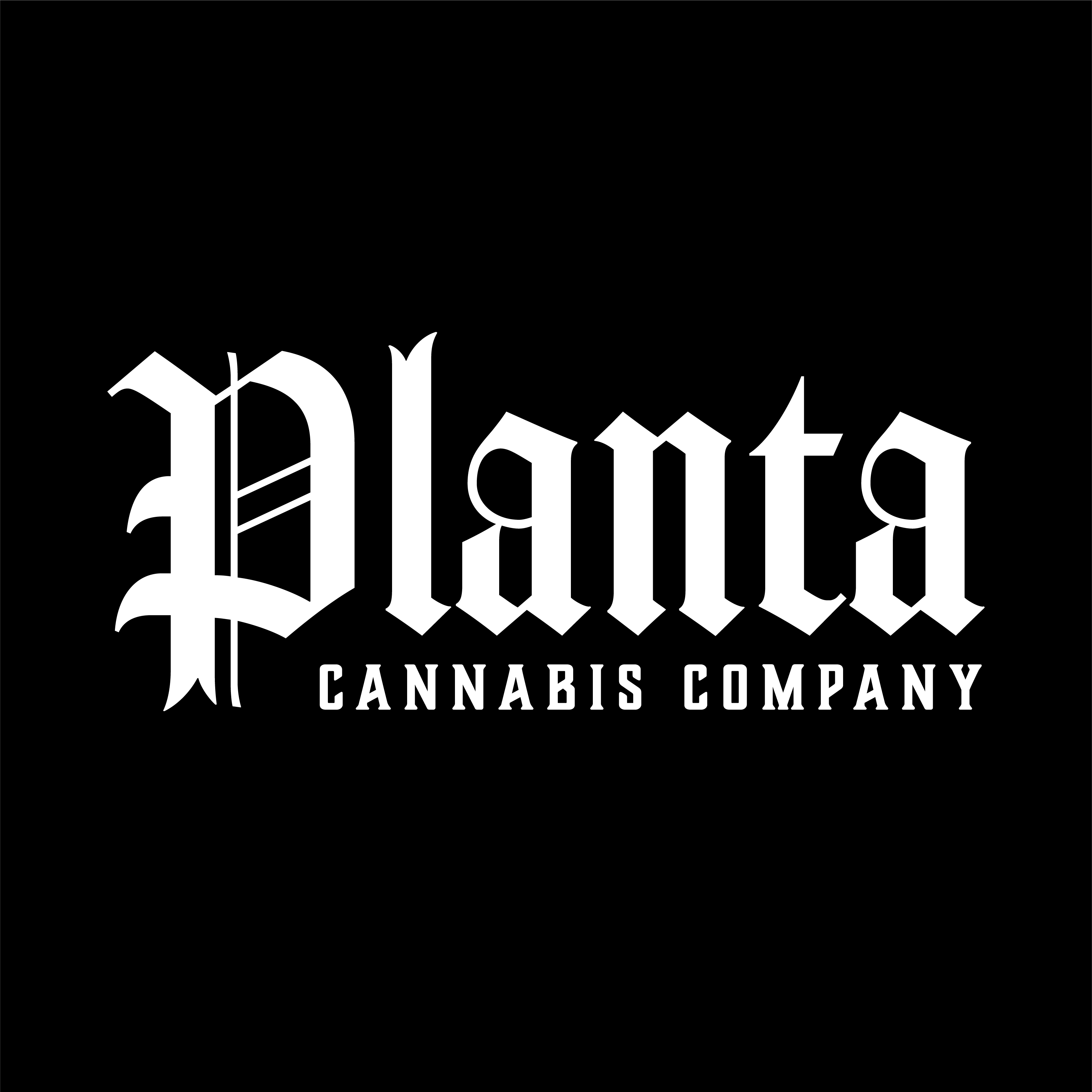 Planta Cannabis co: Lu Lu S Lemons