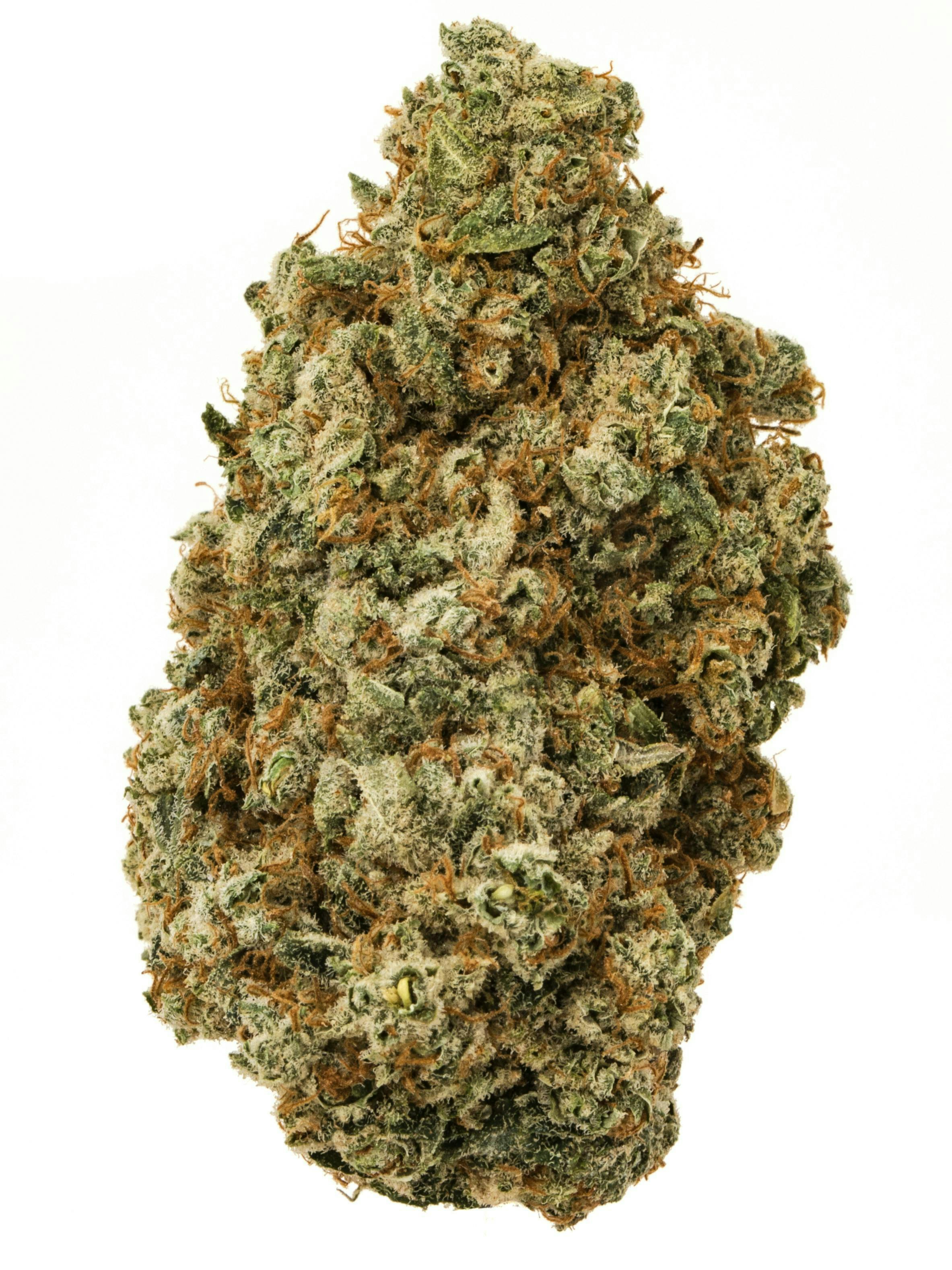The Fight Alien OG