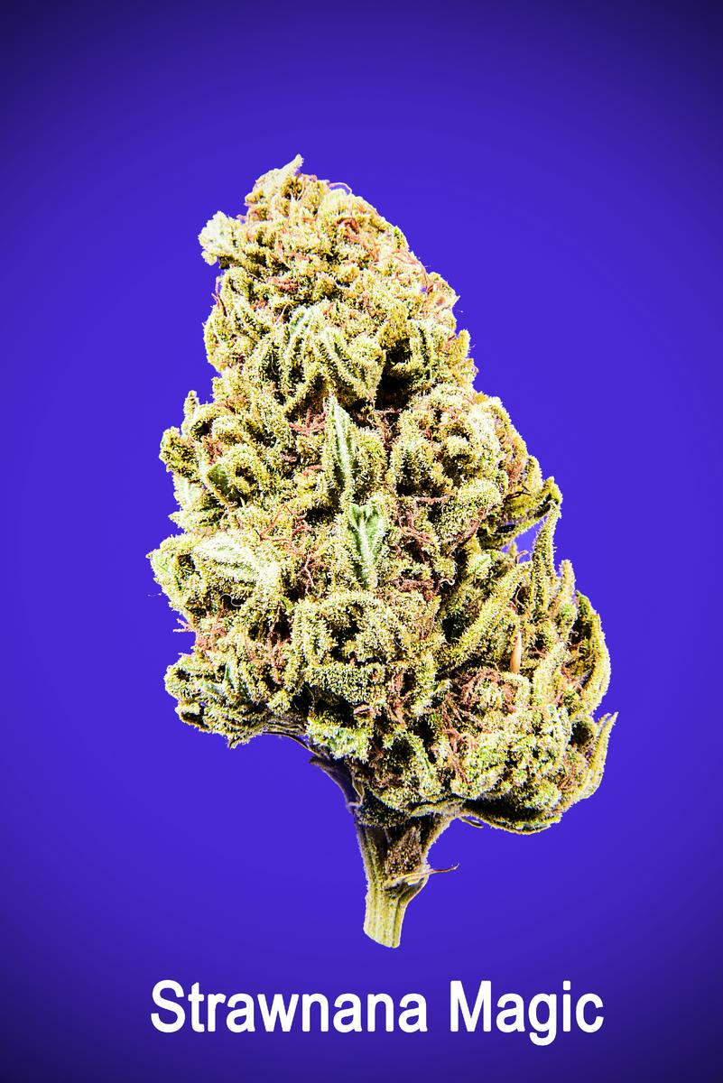 Maggie's Organic | Strawnana Magic S | Loose Flower