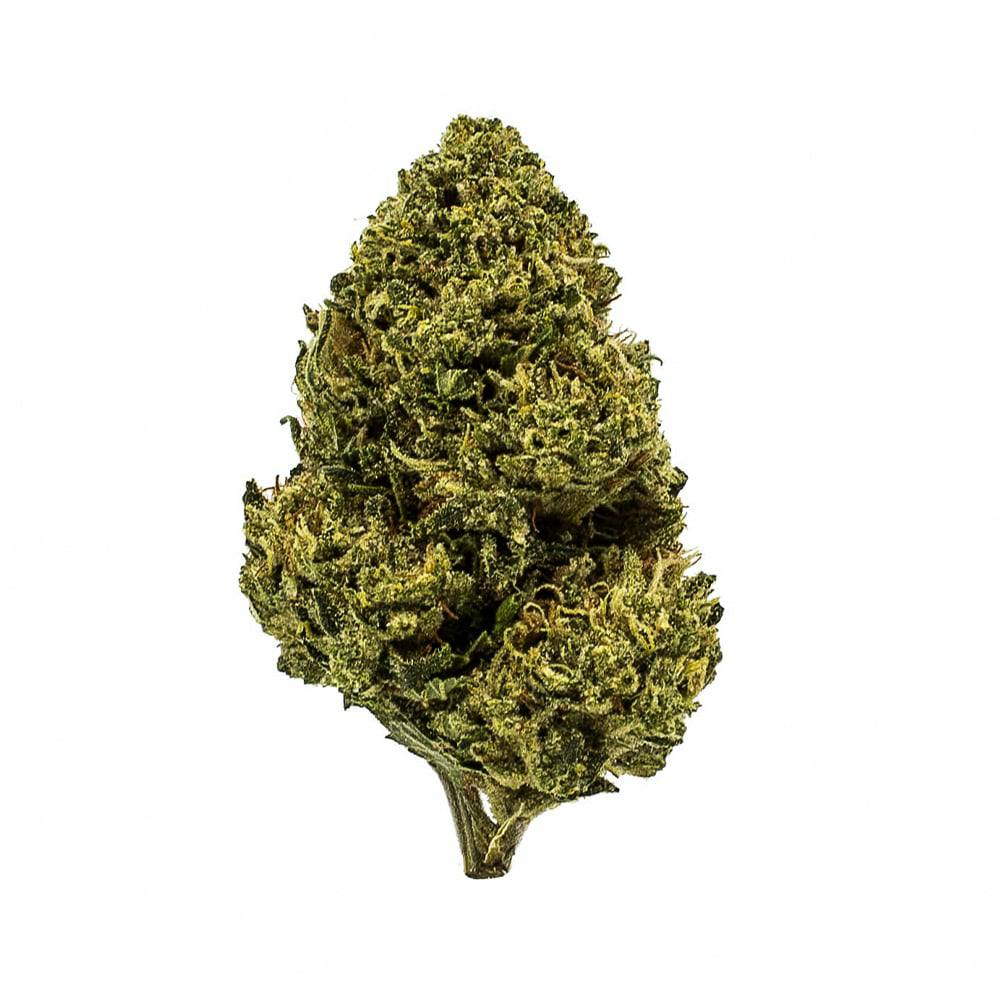 Maggies Classic Cuts Pachamama