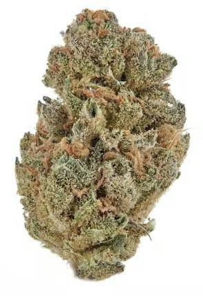Rare Dankness | Jungle Pie |