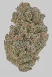 Rare Dankness | Cap Junky | H
