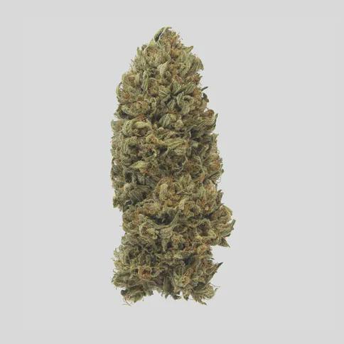 Maggies Organic Golden Strawberry Loose