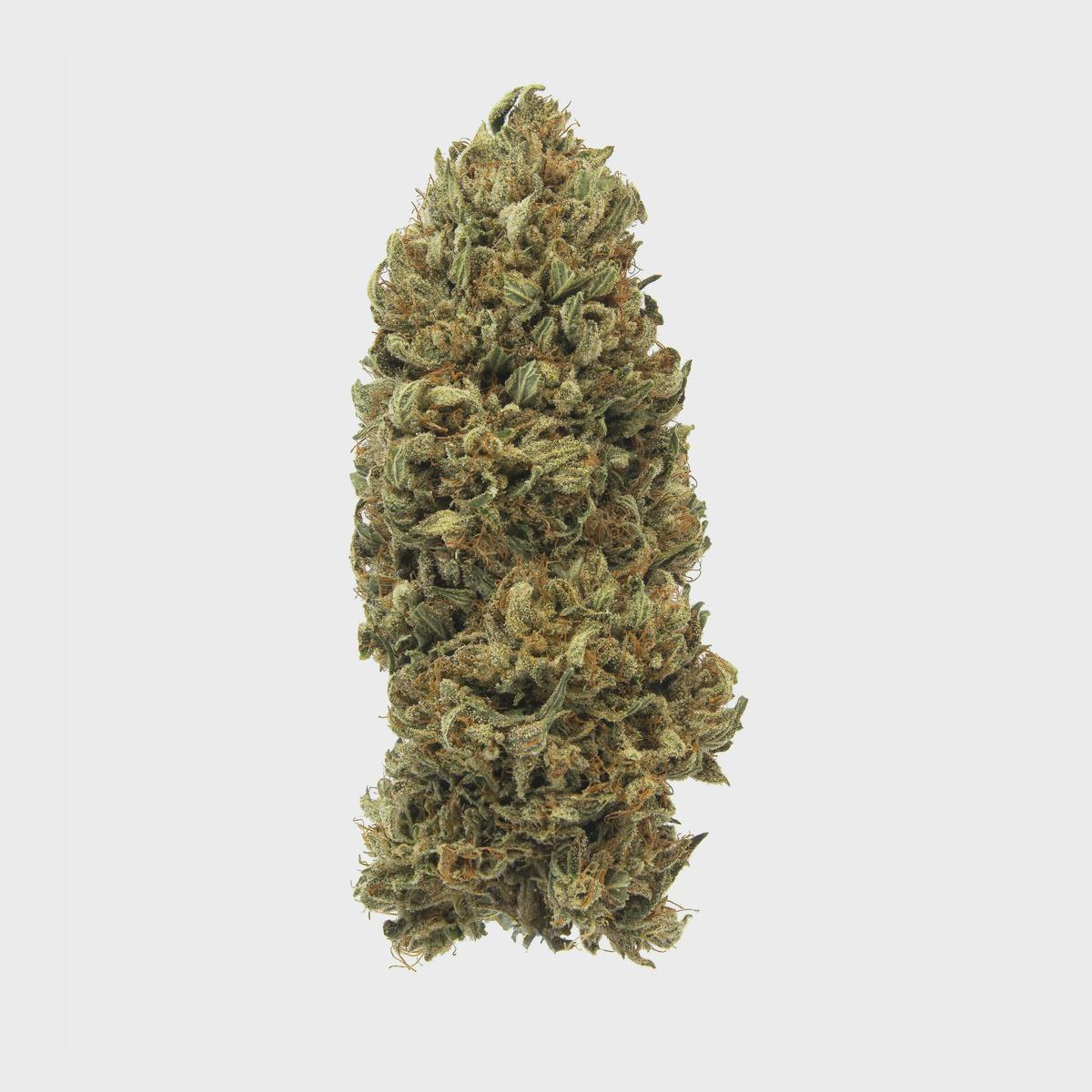 Maggies Classic Cuts Guptilla Kush