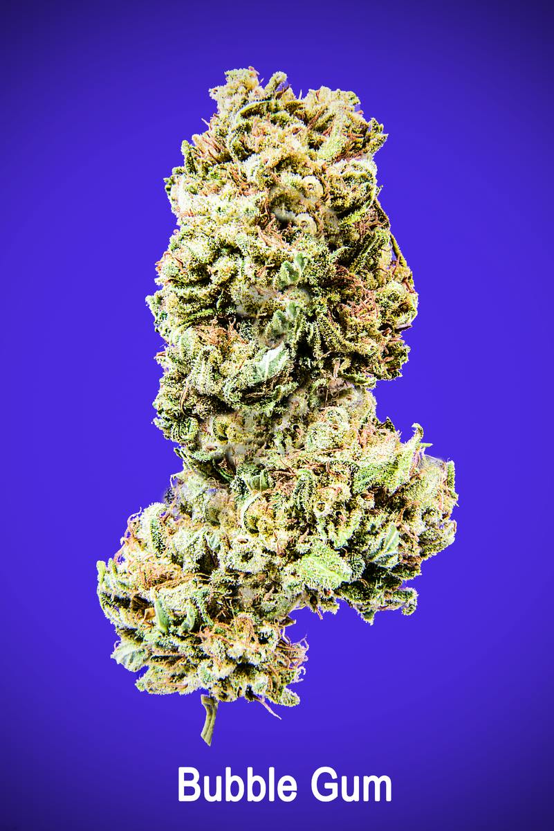 Maggies Organic Bubble Gum Loose