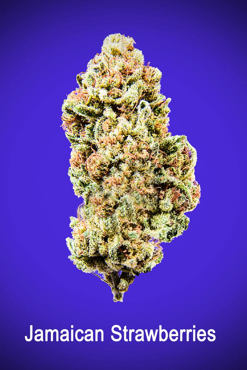 Maggies Organic Jamaican Strawberry Loose
