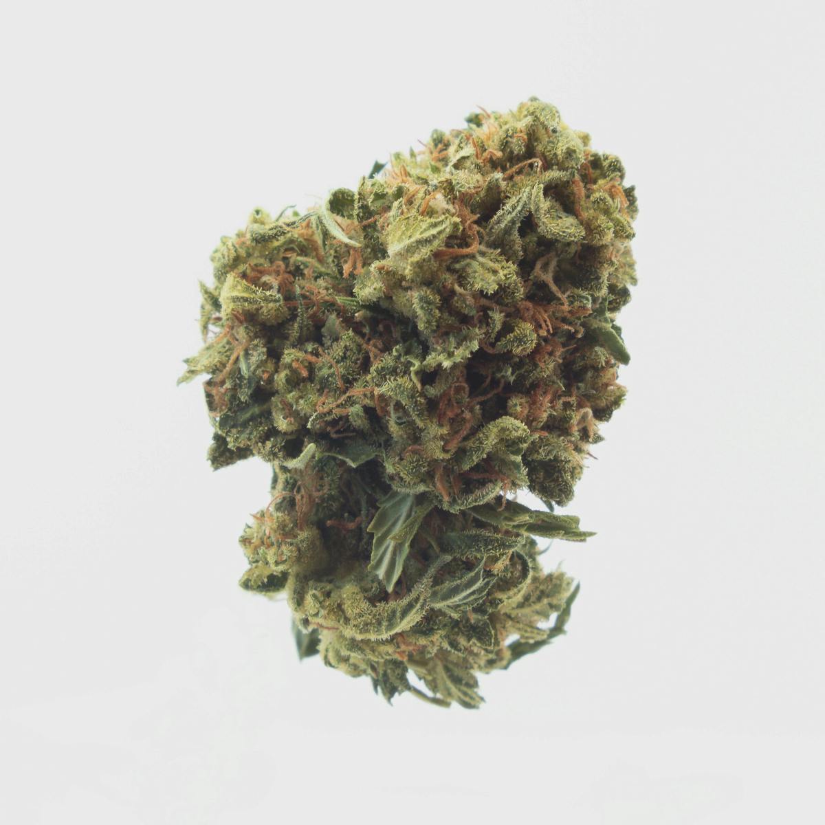 Maggie's Classic Cuts | Happy Camper | I |