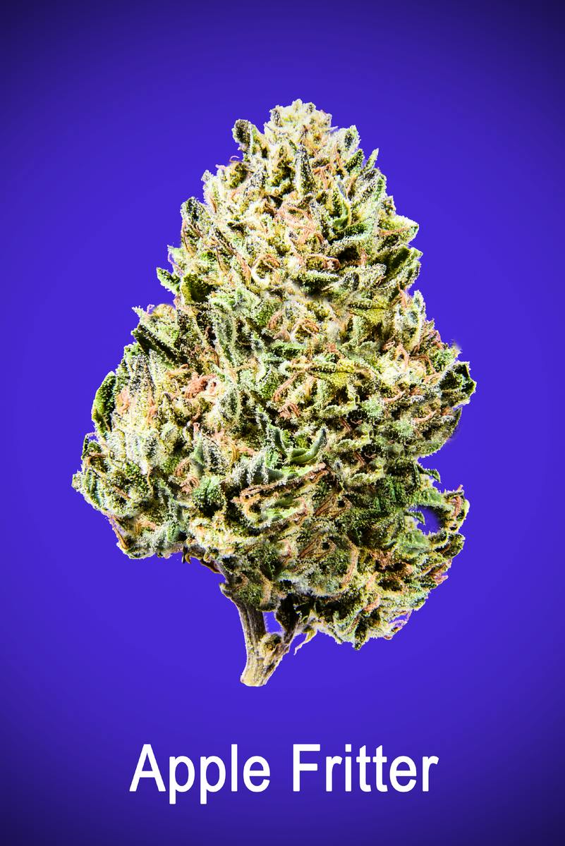 Maggie's Organic | Apple Fritter | H | Loose Flower