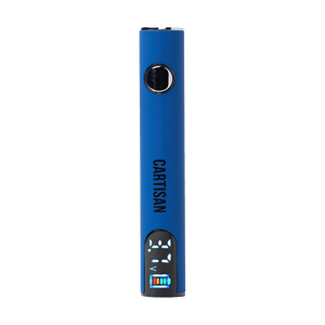 Leaf Battery 20 W/ Digital Lcd Screen