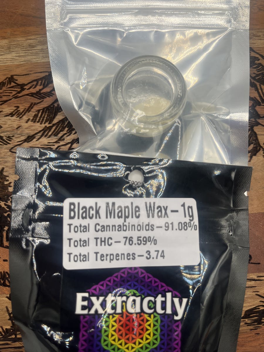Black Maple