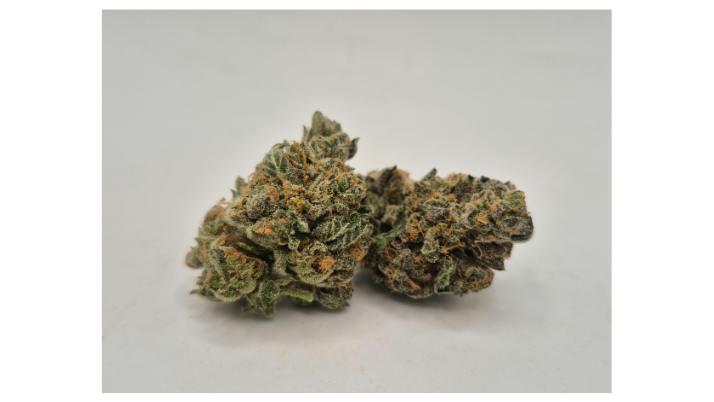 Apple Fritter - GC