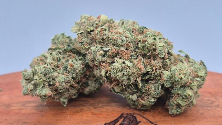 Sour Dubb x Orange Tahoe (Hybrid)