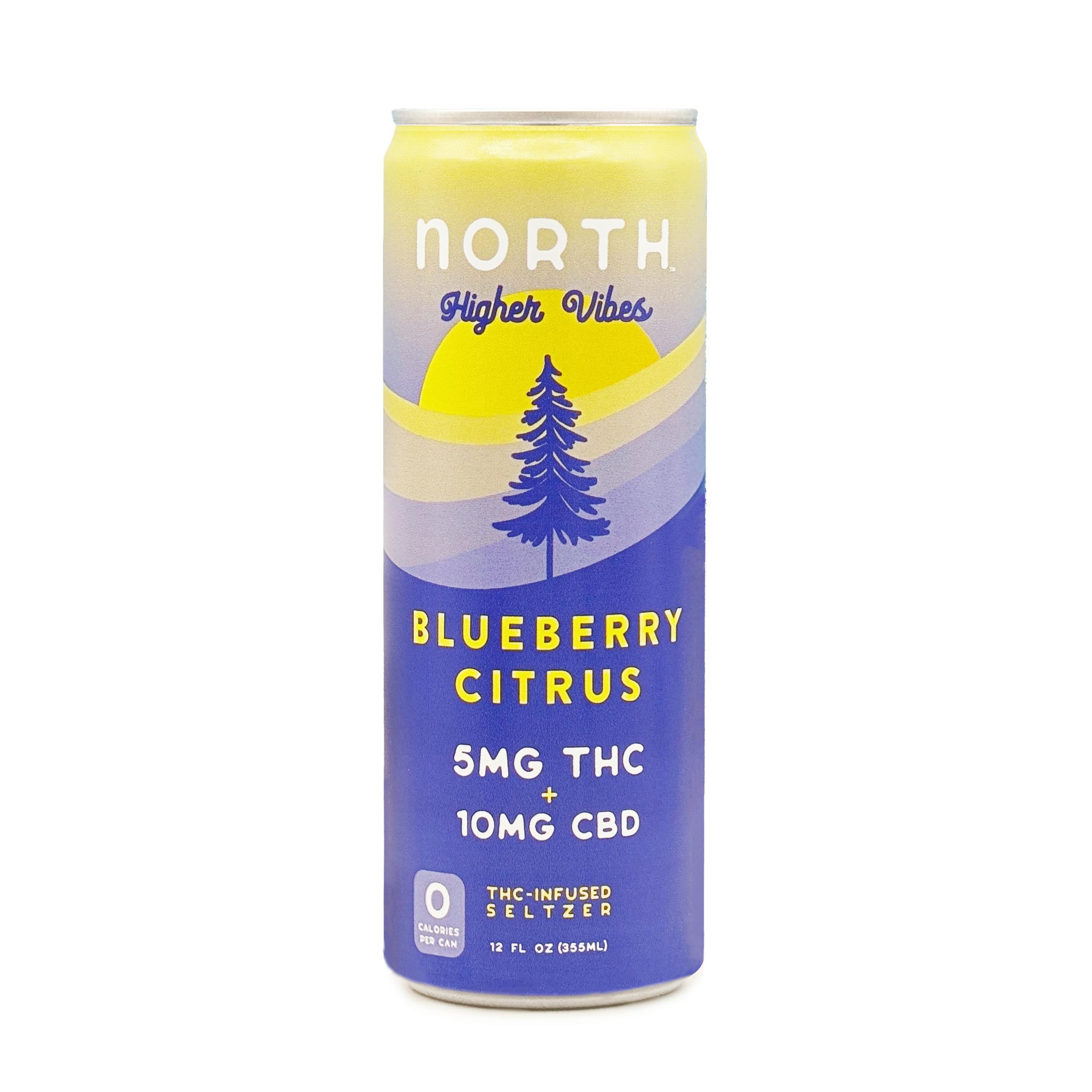 North 5mg Seltzer: Blueberry Citrus