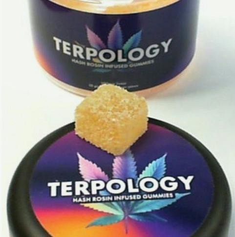 Terpology - Peach - Live Rosin Gummies at Yellowstoned | Cannabis Dispensary