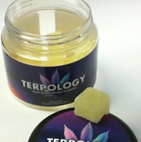 Terpology - Pineapple - Live Rosin Gummies at Yellowstoned | Cannabis Dispensary