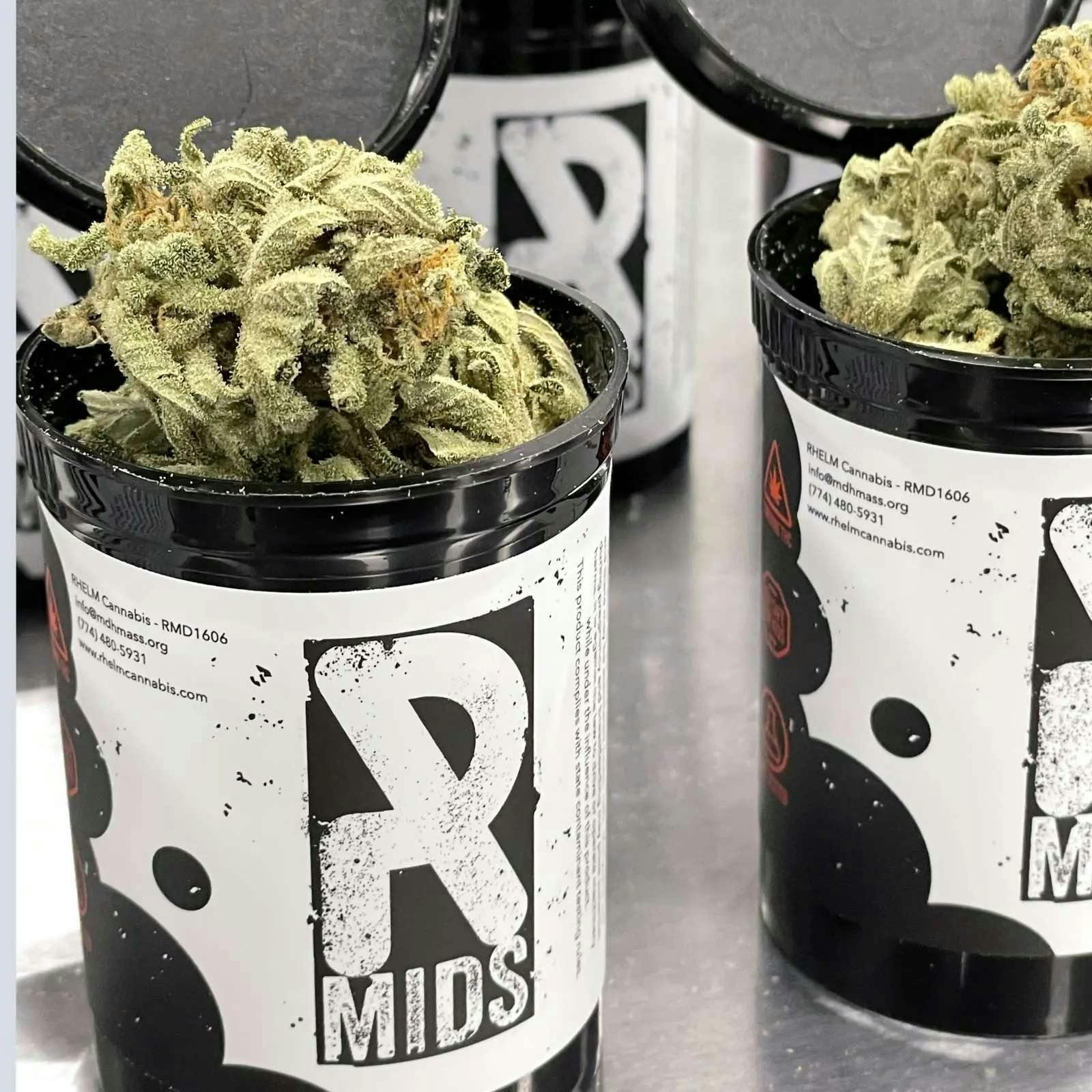GMO (7g Flower) | Rhelm Mids