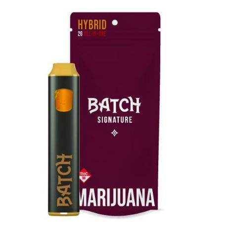 Batch - 2g Signature AIO Disposable - Tropical Storm (Hybrid)