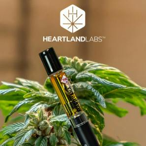 Heartland - 1g Cartridge - Lemon Punch