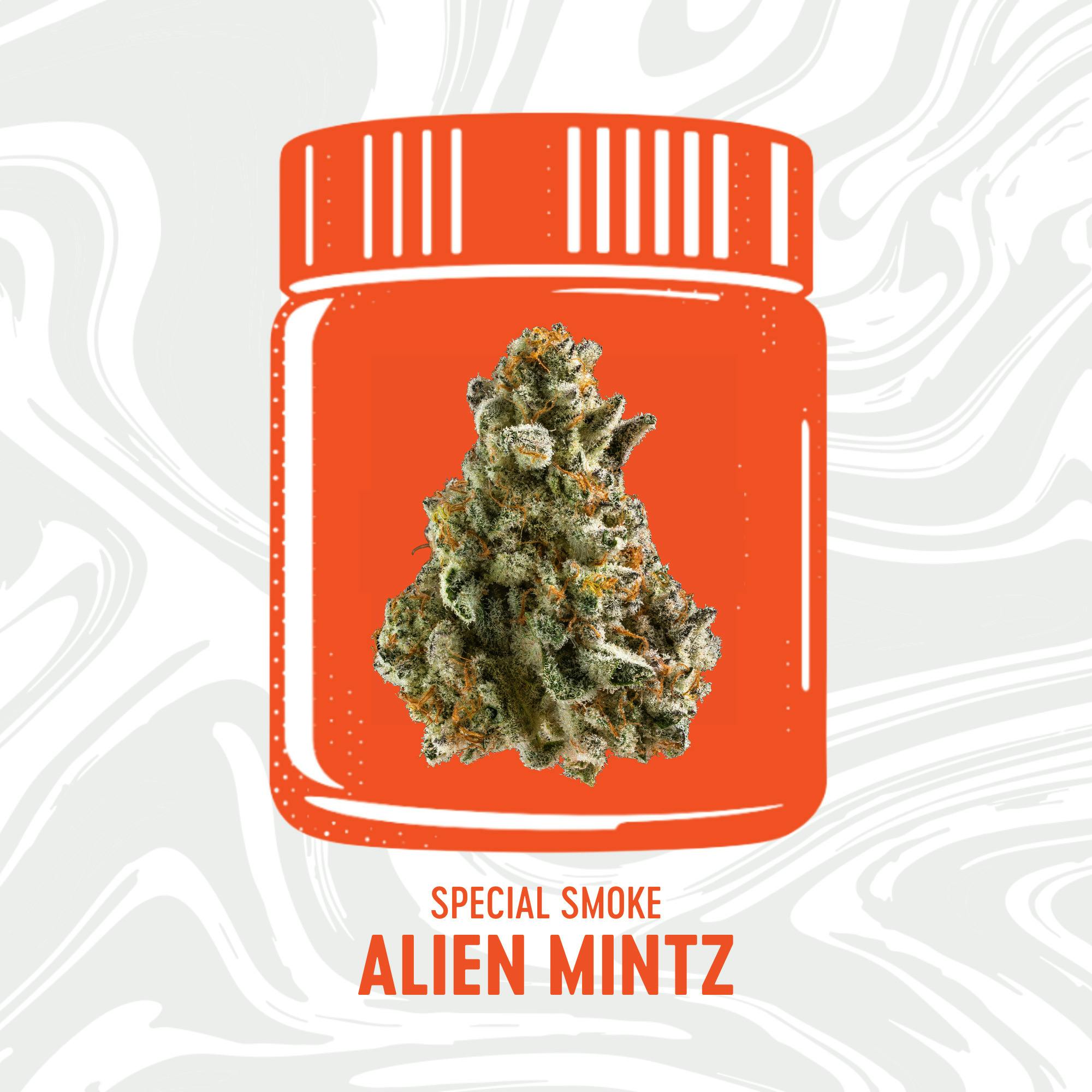 Vivid - 3.5g Flower - Alien Mintz (Special Smoke)