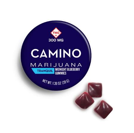 Camino by KIVA - Midnight Blueberry Gummies (10pk) - 300mg (+CBN)