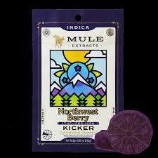 Mule: Kickers 2-Piece Nw Berry