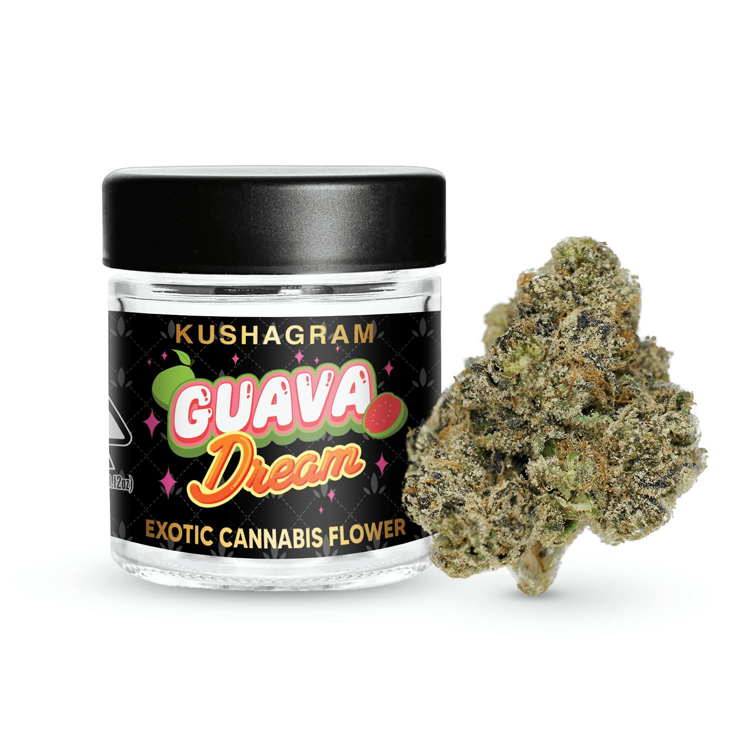 KUSHAGRAM: Guava Dream