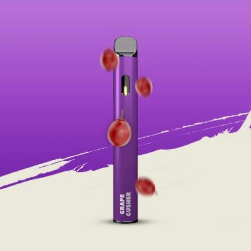 Breeze 1g Disposable - Grape