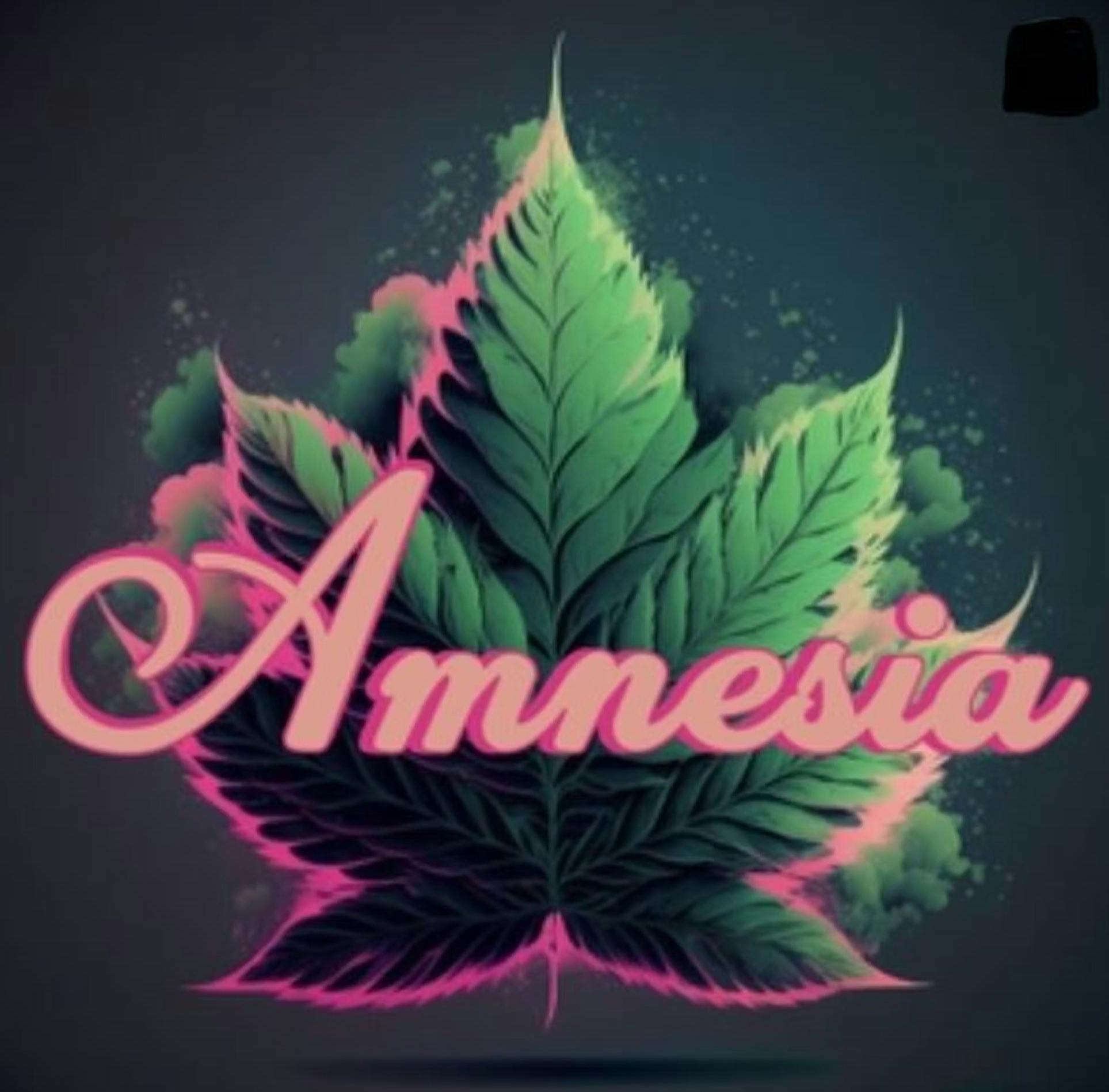 Amnesia 1g Disposable - Watermelon Freeze