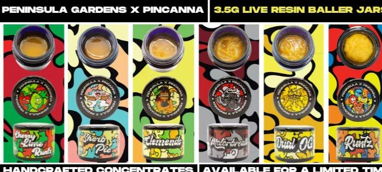 Peninsula Gardens 3.5g Live Resin - Clemendo