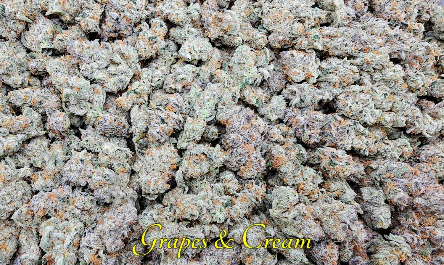 (I) Grapes & Cream Deli (SG) by SCORPION GRASS