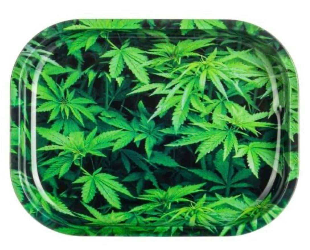 GREEN LEAVES TRAY - LARGE